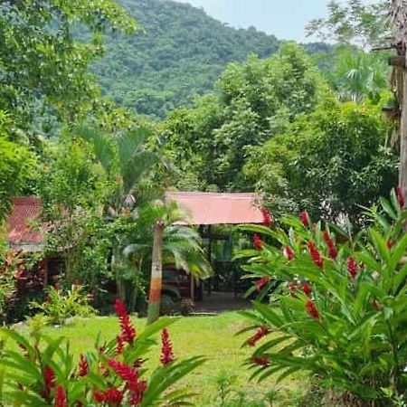 Eco Hostal Monolandia El Zaino Luaran gambar