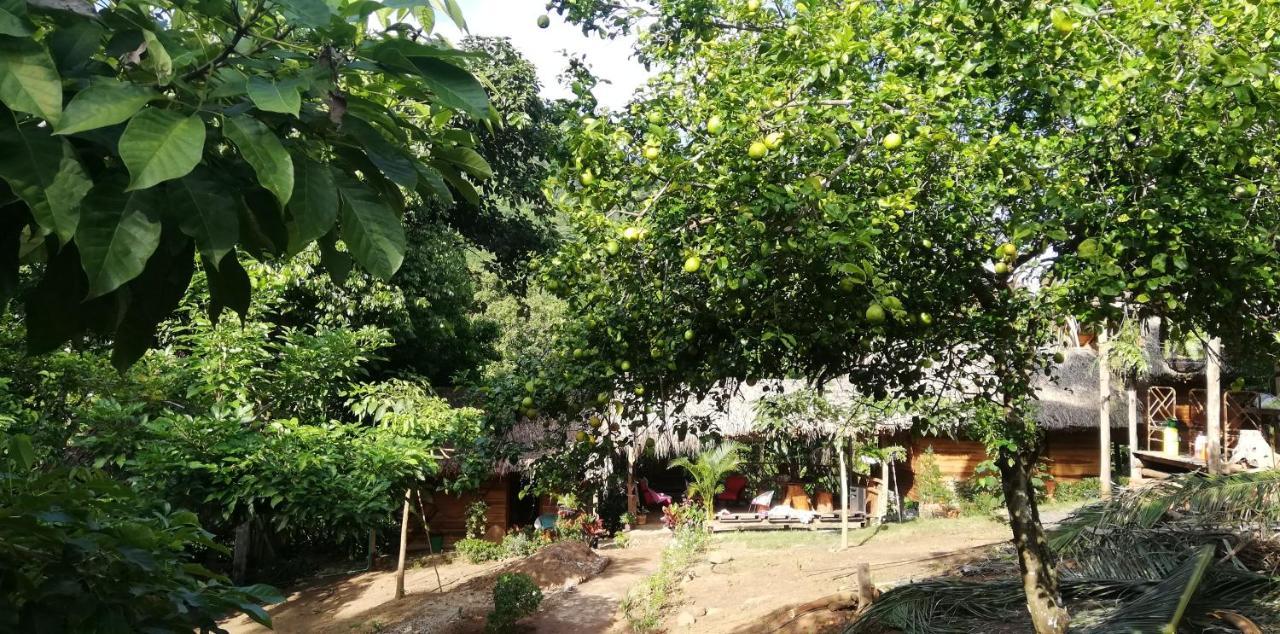 Eco Hostal Monolandia El Zaino Luaran gambar