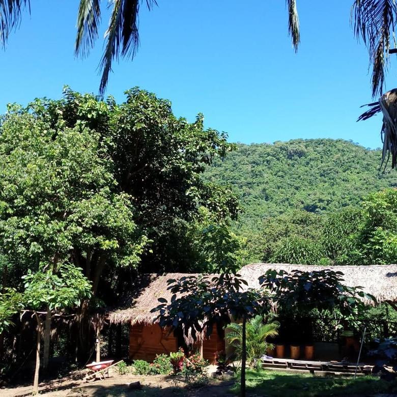 Eco Hostal Monolandia El Zaino Luaran gambar