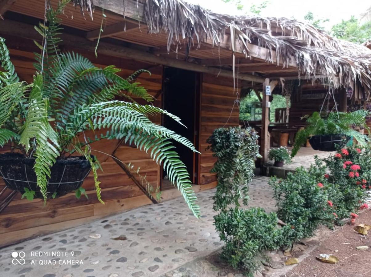 Eco Hostal Monolandia El Zaino Luaran gambar