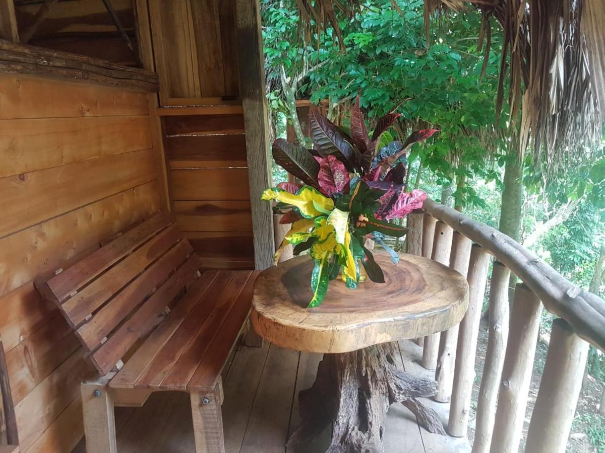 Eco Hostal Monolandia El Zaino Luaran gambar