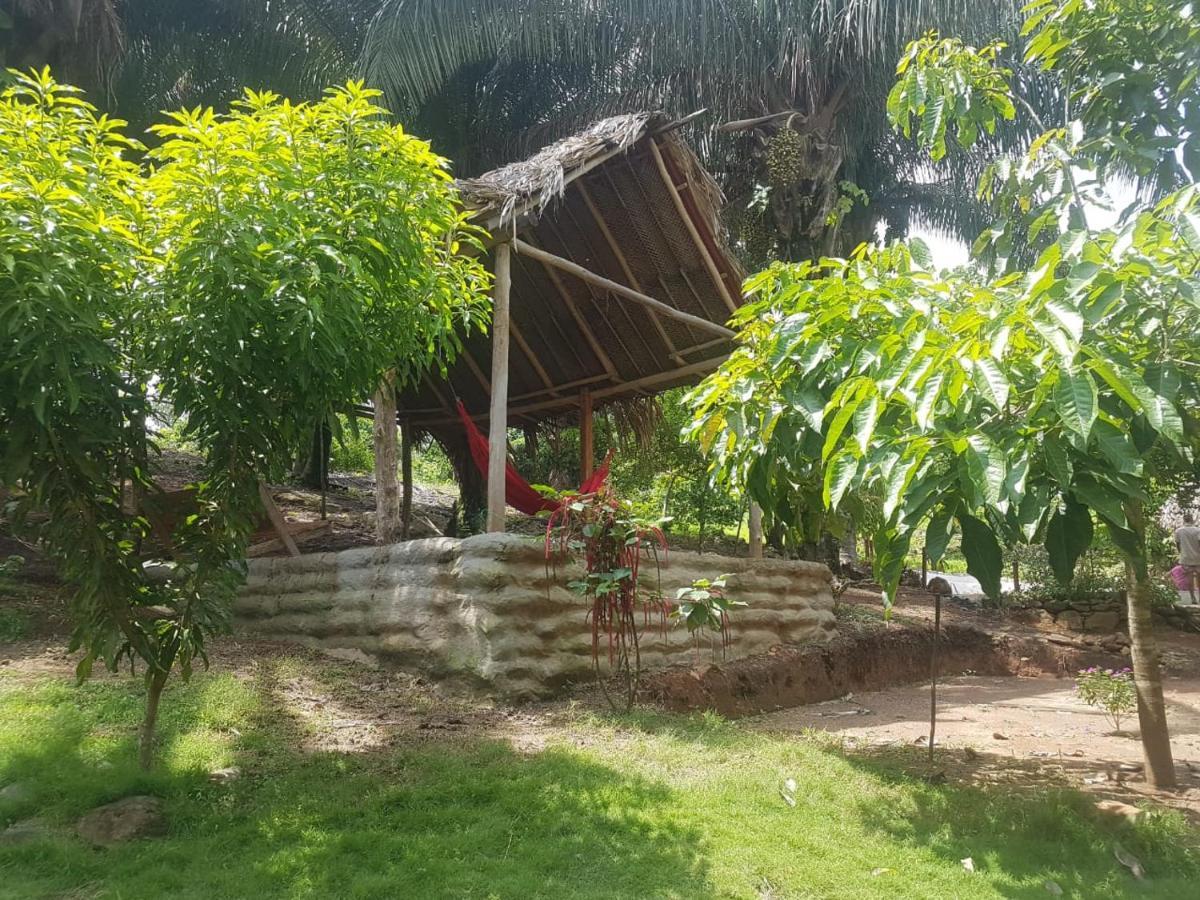 Eco Hostal Monolandia El Zaino Luaran gambar