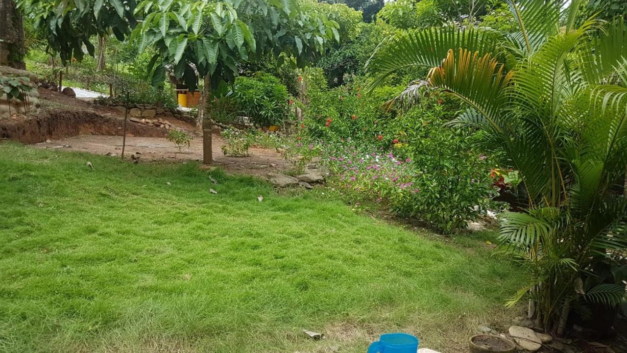 Eco Hostal Monolandia El Zaino Luaran gambar