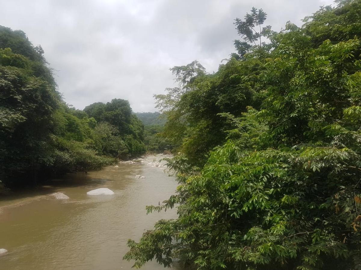 Eco Hostal Monolandia El Zaino Luaran gambar