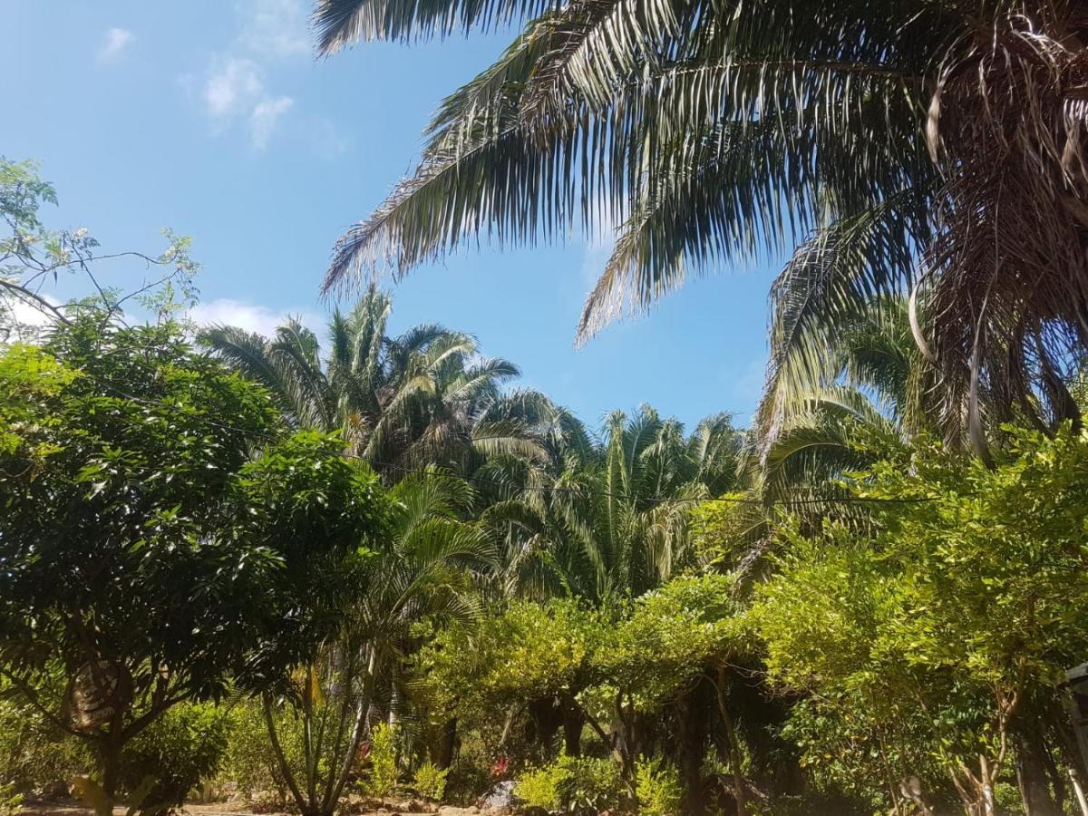 Eco Hostal Monolandia El Zaino Luaran gambar