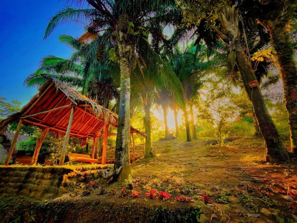 Eco Hostal Monolandia El Zaino Luaran gambar