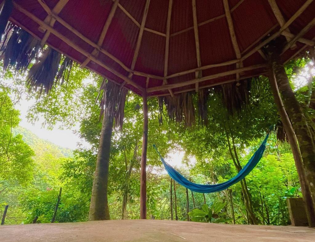 Eco Hostal Monolandia El Zaino Luaran gambar