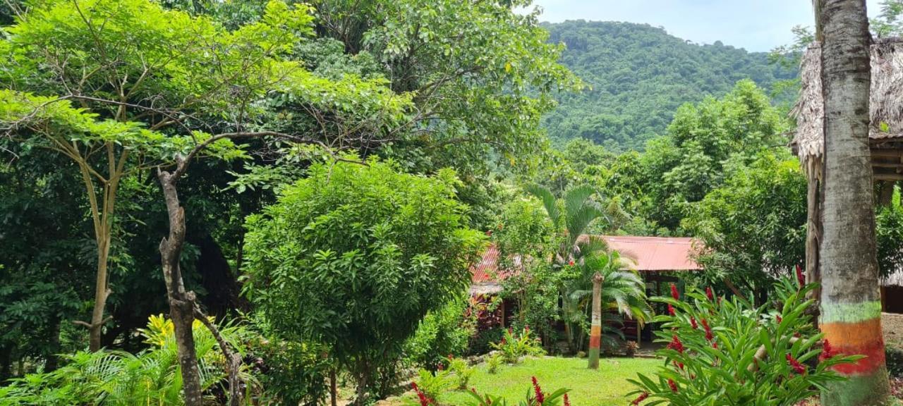 Eco Hostal Monolandia El Zaino Luaran gambar