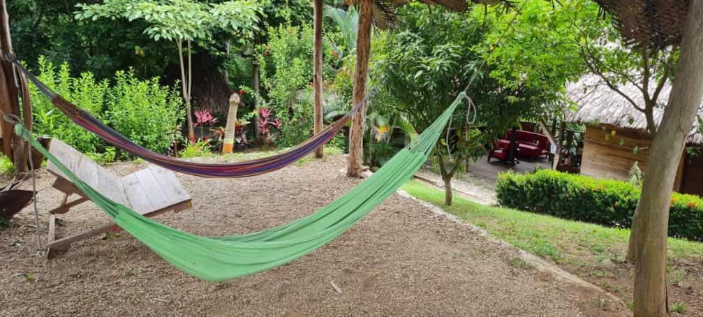 Eco Hostal Monolandia El Zaino Luaran gambar
