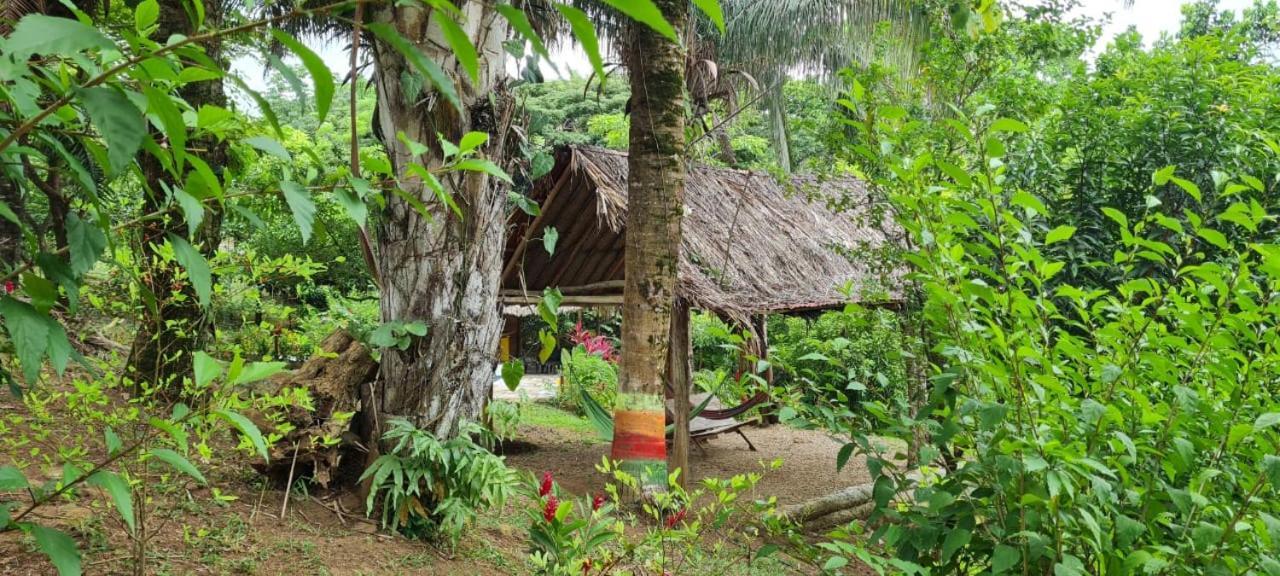 Eco Hostal Monolandia El Zaino Luaran gambar