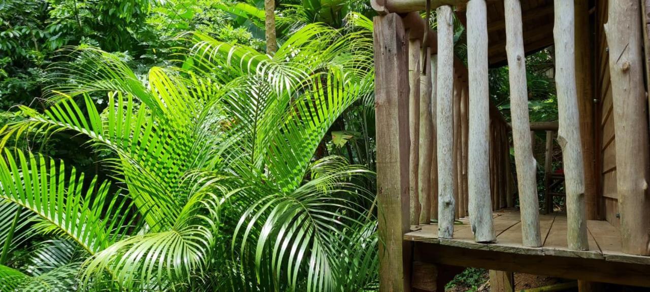 Eco Hostal Monolandia El Zaino Luaran gambar