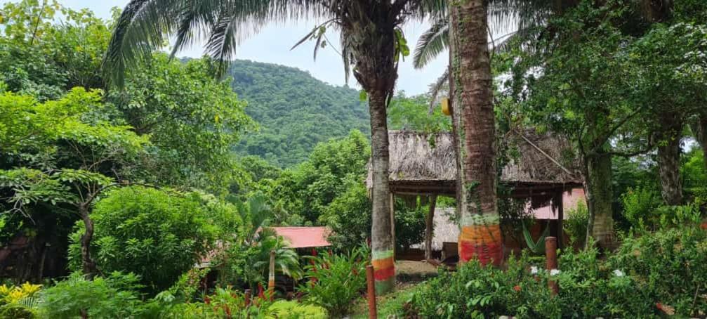 Eco Hostal Monolandia El Zaino Luaran gambar