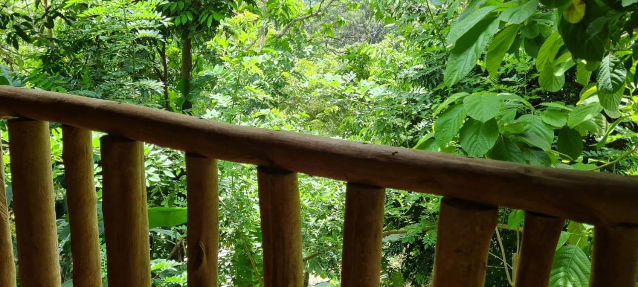 Eco Hostal Monolandia El Zaino Luaran gambar