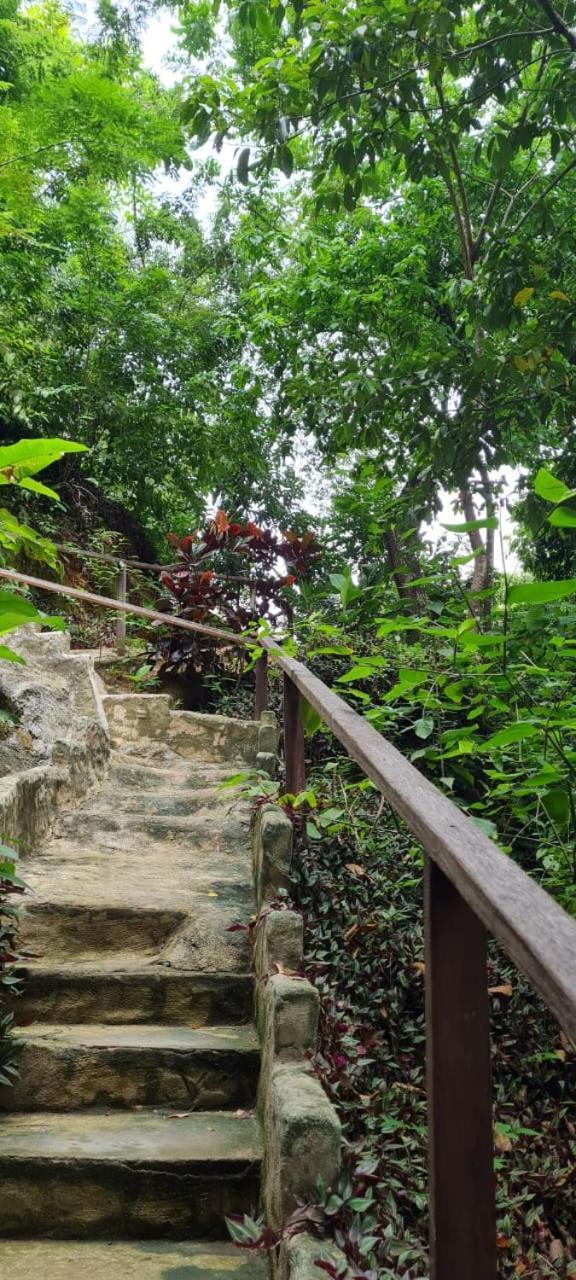 Eco Hostal Monolandia El Zaino Luaran gambar