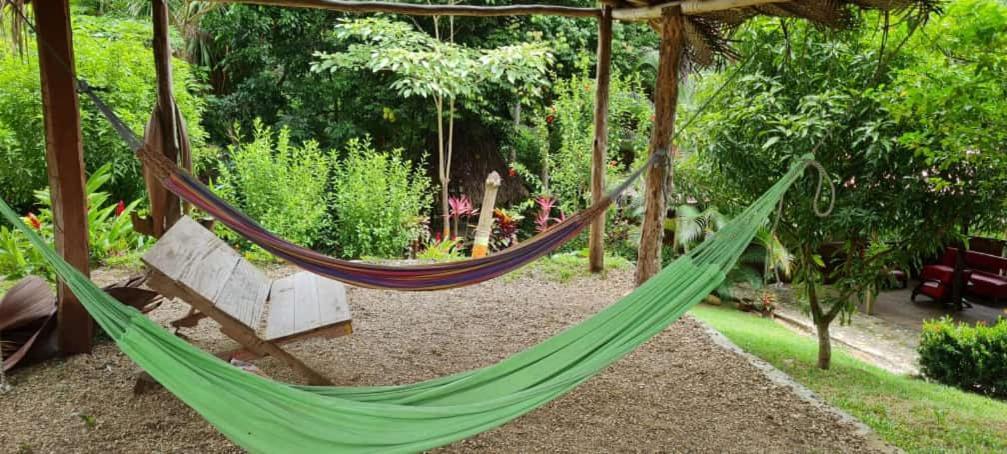 Eco Hostal Monolandia El Zaino Luaran gambar