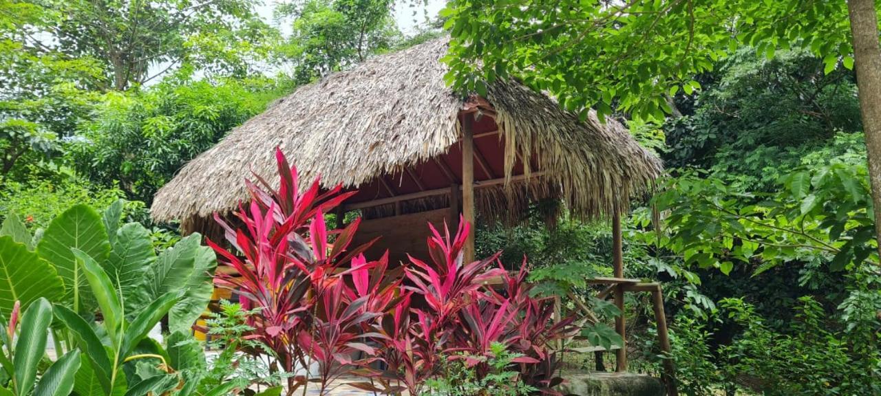 Eco Hostal Monolandia El Zaino Luaran gambar