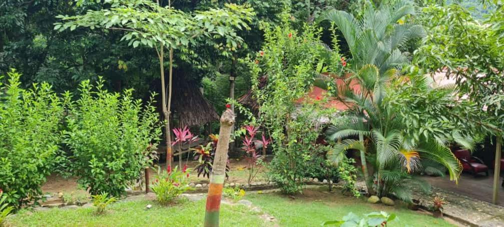 Eco Hostal Monolandia El Zaino Luaran gambar