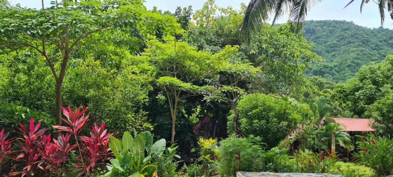 Eco Hostal Monolandia El Zaino Luaran gambar