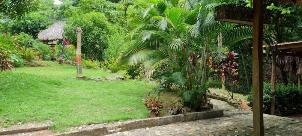 Eco Hostal Monolandia El Zaino Luaran gambar