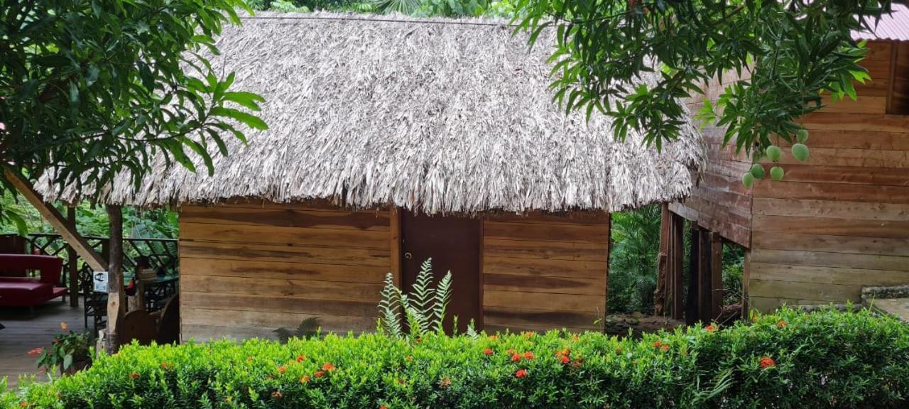 Eco Hostal Monolandia El Zaino Luaran gambar